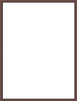 cer_frame